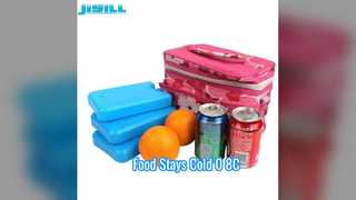 600ml παγοκύστη Κρατήστε το φαγητό κρύο 0-8C