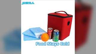Slim Ice Pack Keep Food Cold Reusable Cooler