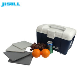 ποιότητας  290ml Fit Fresh Cool Box Ice Packs , Freezer Cool Packs 19*19*1cm Size For Food Frozen εργοστάσιο