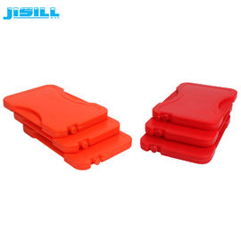 Thermal Mini Ice Packs HDPE Hard Shell 17,8x12,2x1,4cm